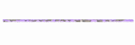 UMPRUM Online